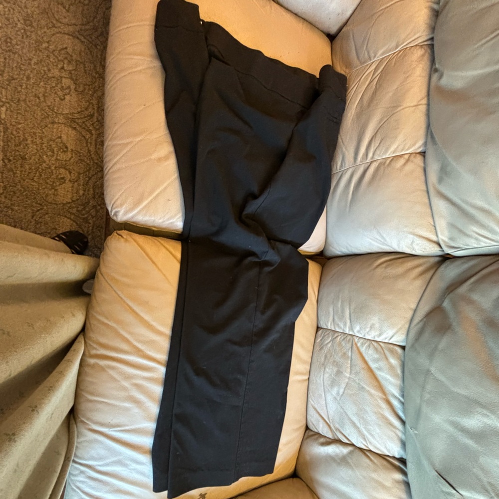 Dress Barn High Waisted dress pants